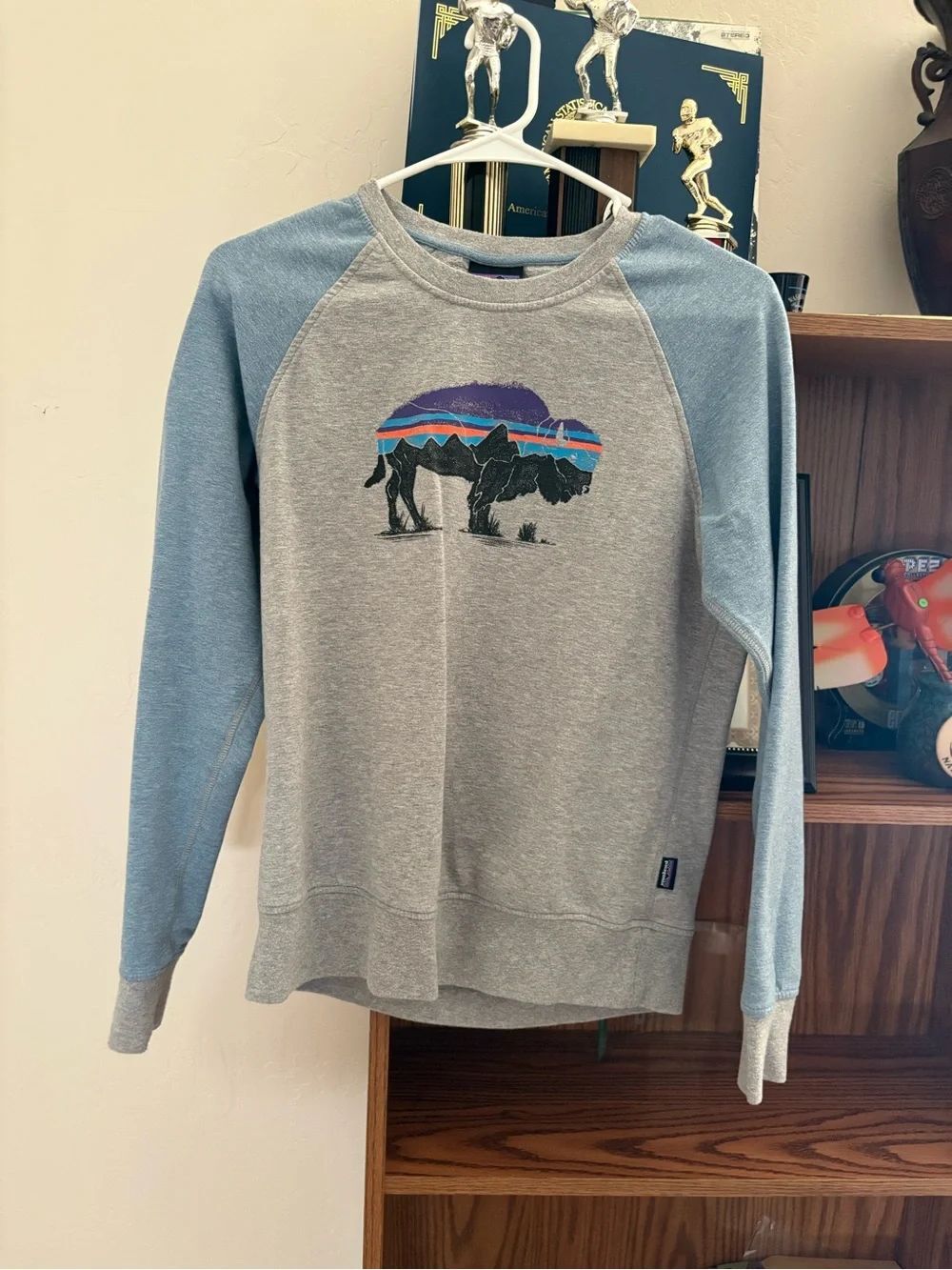 Patagonia Sweatshirt